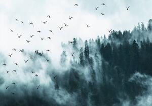 Fototapeta - Ptáci v mlze (254x184 cm)