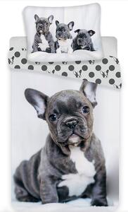 Jerry Fabrics povlečení bavlna fototisk Bulldog 140x200 70x90 cm