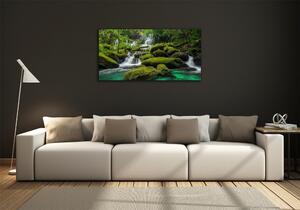 Foto obraz sklo tvrzené Vodopád v lese osh-116886736
