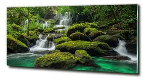 Foto obraz sklo tvrzené Vodopád v lese osh-116886736