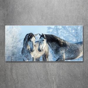 Fotoobraz na skle Zima šedý kůň osh-116887257