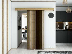 Posuvné dveře Modern I - 90 cm s tlumeným dojezdem Barva: Dub Artisan/černá