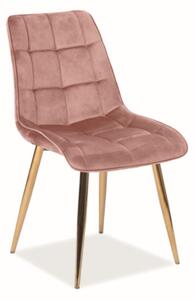 Jídelní židle - CHIC Velvet Gold, různé barvy na výběr Čalounění: růžová (Bluvel 52)