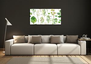 Foto obraz skleněný horizontální Bylina a plevel osh-117915031
