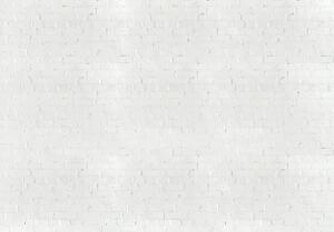 Fototapeta - Bílé cihly (254x184 cm)