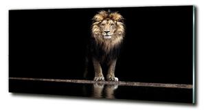 Foto obraz sklo tvrzené Portrét lva osh-118199528