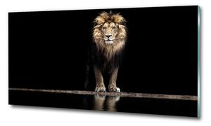 Foto obraz sklo tvrzené Portrét lva osh-118199528