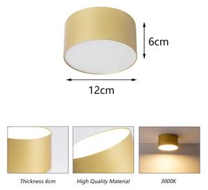 BRILAGI - LED Koupelnové stropní svítidlo FORIS LED/14W/230V pr. 12 cm zlatá IP4