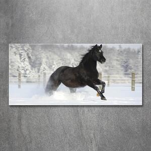 Foto obraz sklo tvrzené Kůň ve cvalu sníh osh-118892522