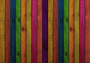 Fototapeta - Barvená prkna (254x184 cm)