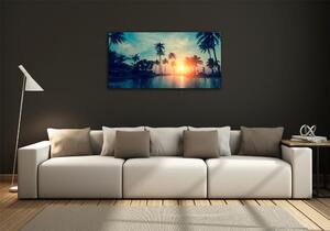 Fotoobraz na skle Západ slunce palmy osh-118937012