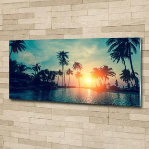 Fotoobraz na skle Západ slunce palmy osh-118937012