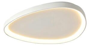 Top Light - LED Stm stropní svítidlo ECLIPSE LED/55W/230V 3000-6500K bílá + DO