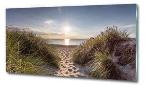Foto obraz skleněný horizontální Mořské duny osh-119215284