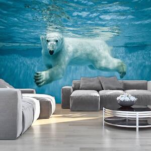 Fototapeta - Lední medvěd (152,5x104 cm)