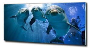 Foto obraz sklo tvrzené Tři delfíni osh-119968160