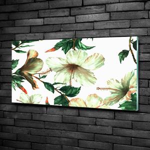 Foto-obraz fotografie na skle Květ ibišku osh-120179514