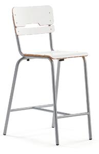 AJ Produkty Školní židle SCIENTIA, sedák 360x360 mm, výška 650 mm, stříbrná/bílá