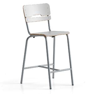 AJ Produkty Školní židle SCIENTIA, sedák 360x360 mm, výška 650 mm, stříbrná/šedá