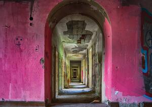 Fototapeta - Vstupní brána do růžové chodby (254x184 cm)