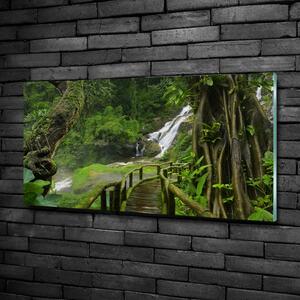 Foto obraz sklo tvrzené Vodopád v džungli osh-120475287