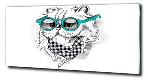 Fotoobraz na skle Kočka v brýlích osh-121703839