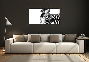 Foto obraz sklo tvrzené Zebra ve sněhu osh-121577688
