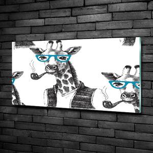 Foto-obraz skleněný horizontální Žirava v brýlích osh-122012386
