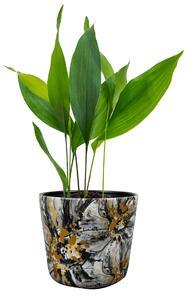 Ter Steege Obal Marigold ash D16 H14