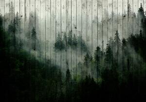 Fototapeta - Lesní mlha (254x184 cm)