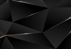 Fototapeta - Černé geometrické dělení (152,5x104 cm)