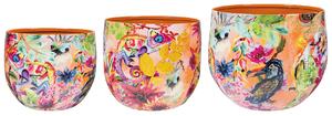 Ter Steege Sada 3 obalů Tropical twist D21 H17