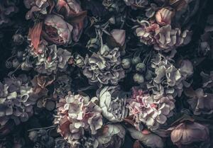 Fototapeta - Květiny Vintage (254x184 cm)