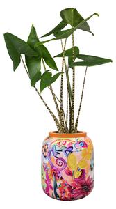 Ter Steege Obal Tropical twist D21 H24