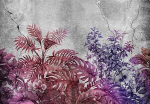 Fototapeta - Rostliny na betonu - fialová (152,5x104 cm)