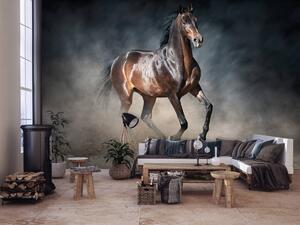 Fototapeta - Hnědý kůň (152,5x104 cm)