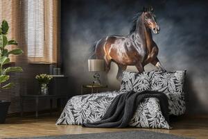 Fototapeta - Hnědý kůň (152,5x104 cm)