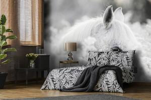 Fototapeta - Bílý kůň na sněhu (152,5x104 cm)