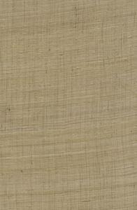 86549, Wild Silk, Arte