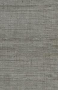 86551, Wild Silk, Arte