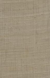 86548, Wild Silk, Arte