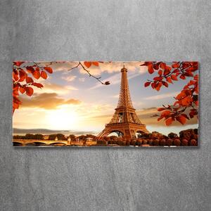 Fotoobraz na skle Eiffelova věž Paříž osh-126000678