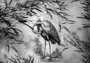 Fototapeta - Černobílý jeřáb (254x184 cm)