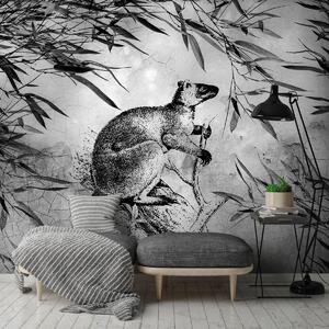 Fototapeta - Černobílý klokan (254x184 cm)