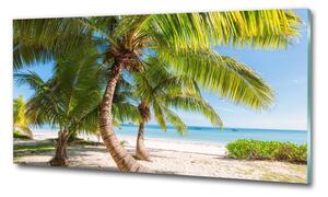 Foto obraz sklo tvrzené Tropická pláž osh-126132906