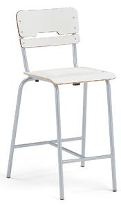 AJ Produkty Školní židle SCIENTIA, sedák 390x390 mm, výška 650 mm, stříbrná/bílá