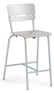 AJ Produkty Školní židle SCIENTIA, sedák 390x390 mm, výška 650 mm, stříbrná/šedá