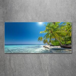 Foto obraz sklo tvrzené Maledivy pláž osh-126748913