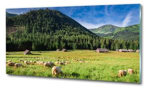 Foto obraz sklo tvrzené Ovce v Tatrách osh-127508967