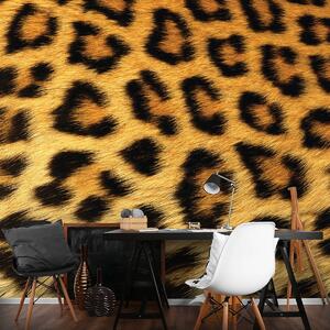 Fototapeta - Leopardí srst (152,5x104 cm)